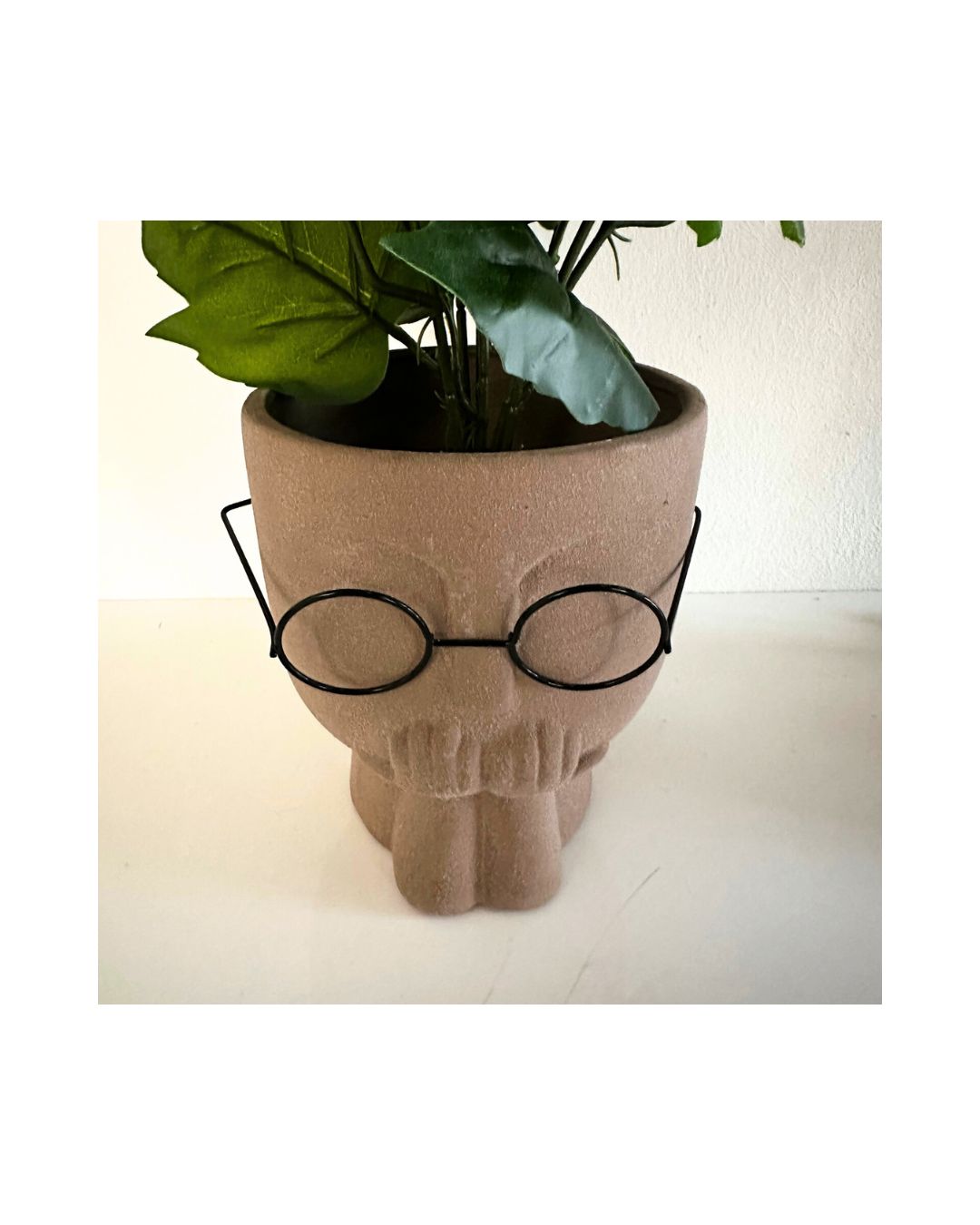 Empty Glass Face Planter
