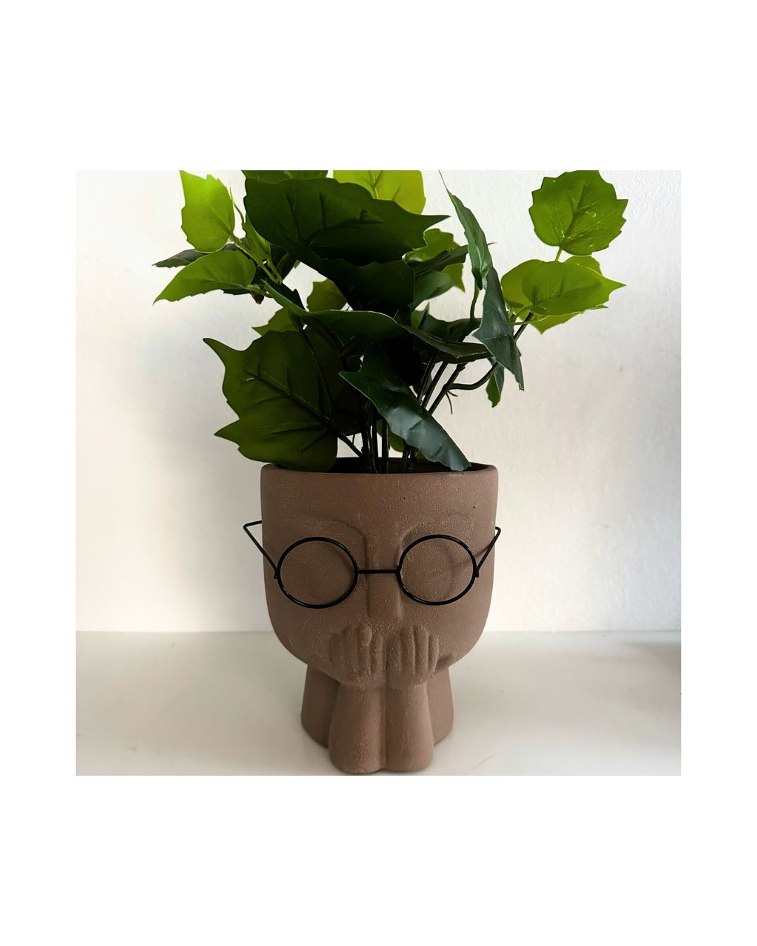 Empty Glass Face Planter