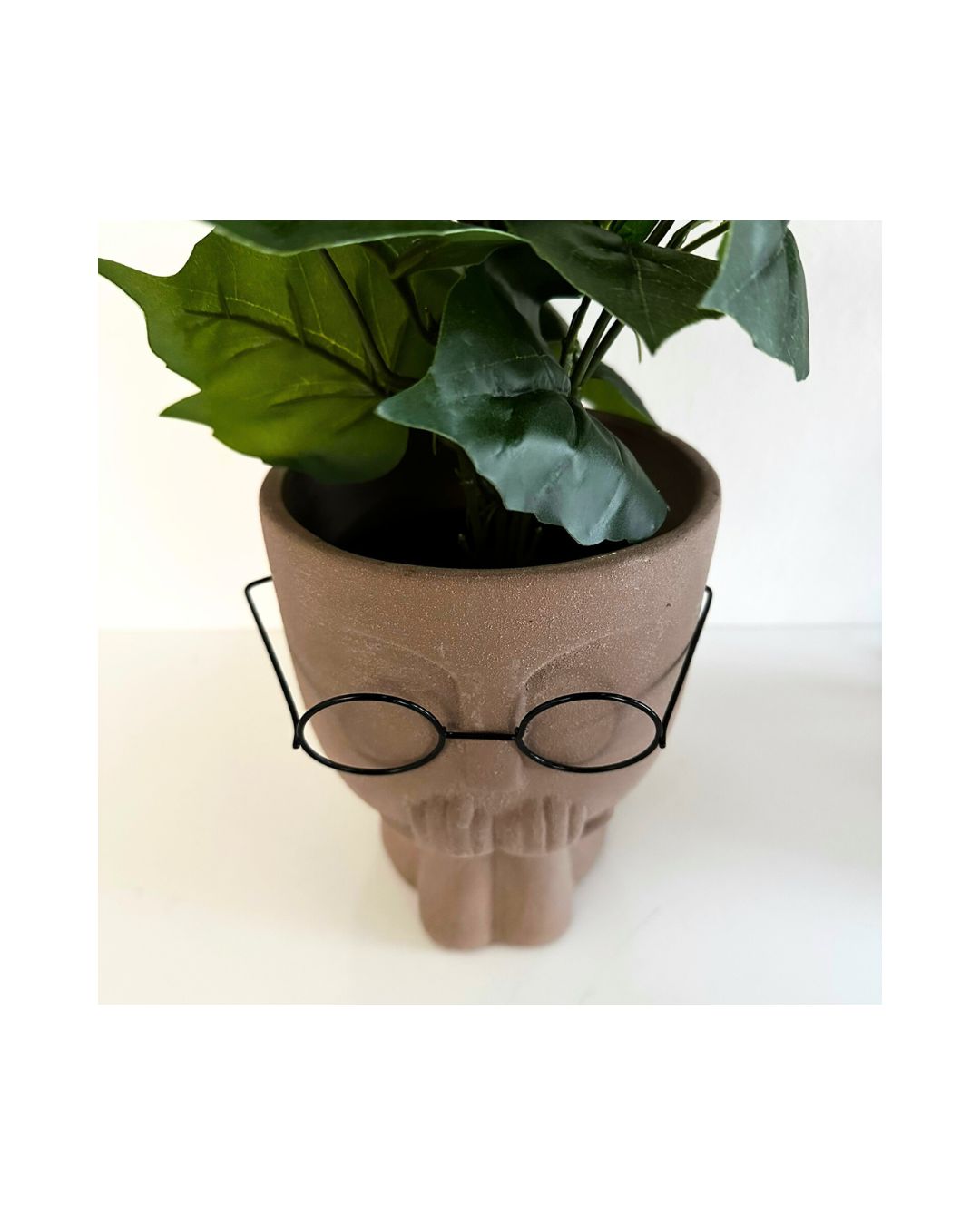 Empty Glass Face Planter