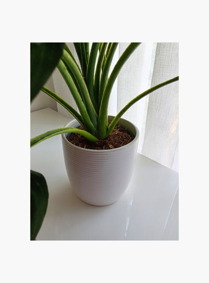 Ribbed ceramic planter
