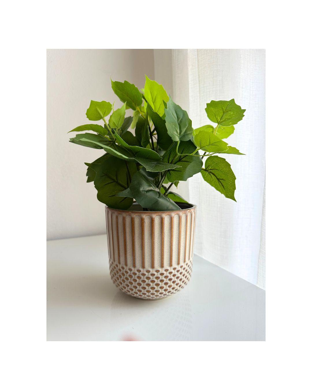 Ceramic Nat Planter