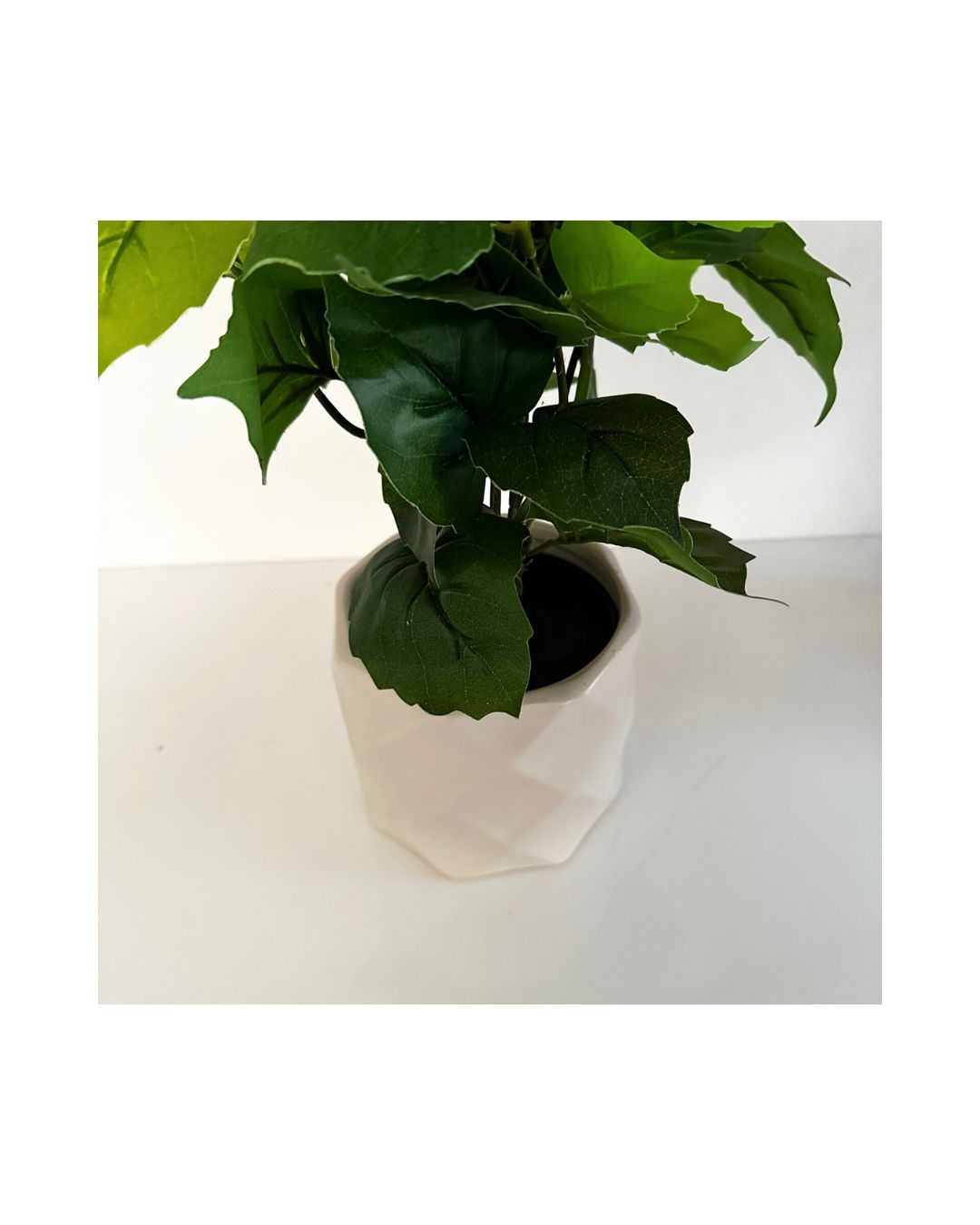 GEO Ceramic Planter Ochre