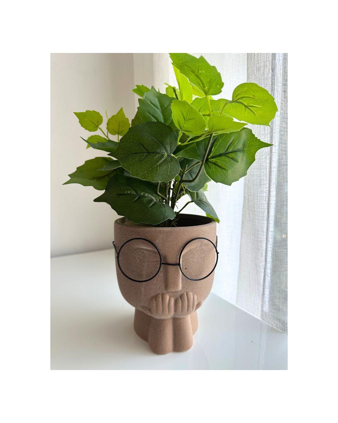 Man Glass Face Planter