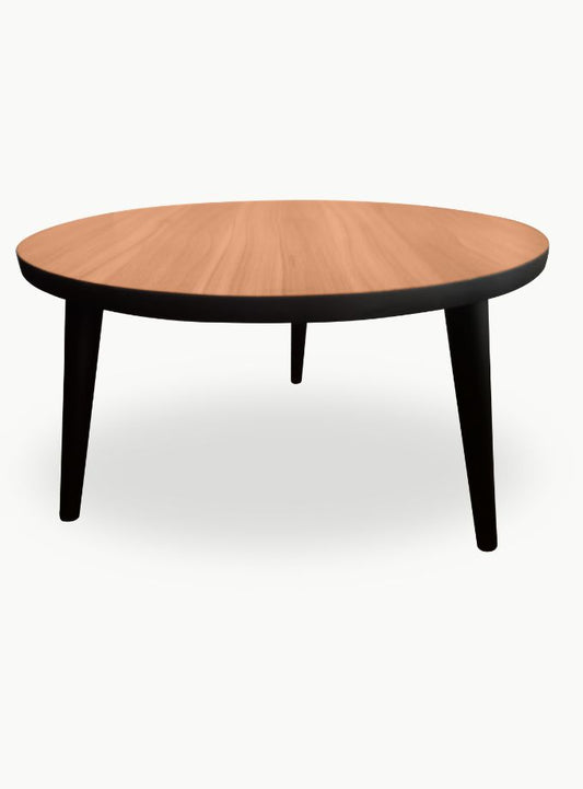 Wooden top matt coffee table
